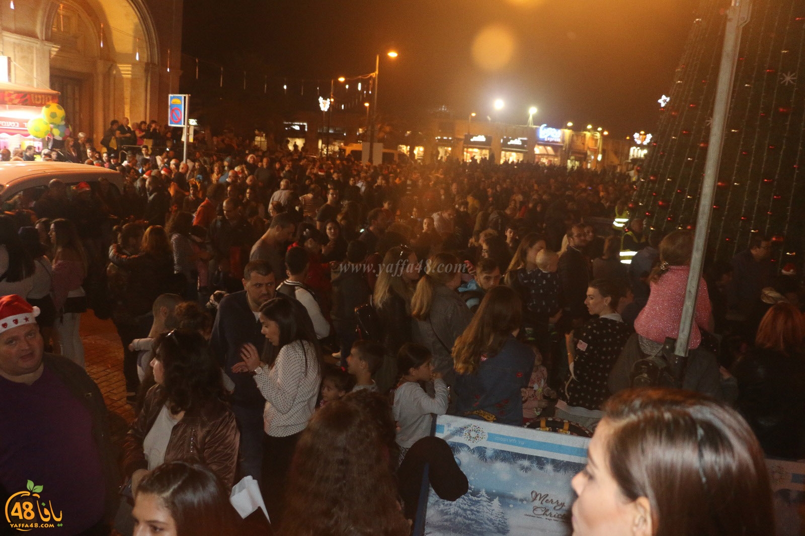 tree yaffa 5th (10).jpg